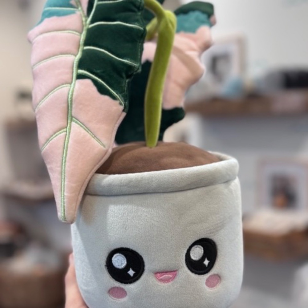Plant Plushie - Variegated Alocasia Amazonica - Picture 2 of 3